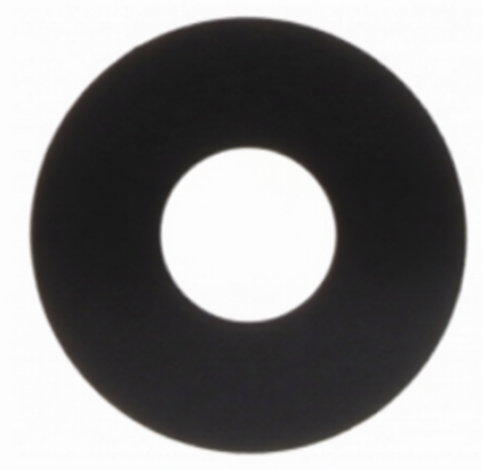 （取り寄せ品 ）iPad Pro 11 インチ(M4)2024 カメラレンズ ガラスのみ