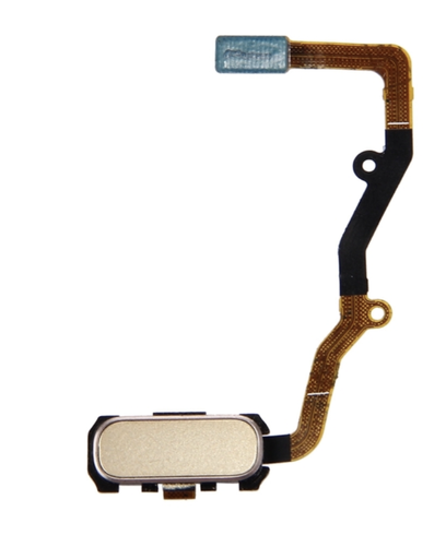 [X3304ﾎｰﾑﾎﾞﾀﾝ] Galaxy S7edge ホームボタンケーブル 金