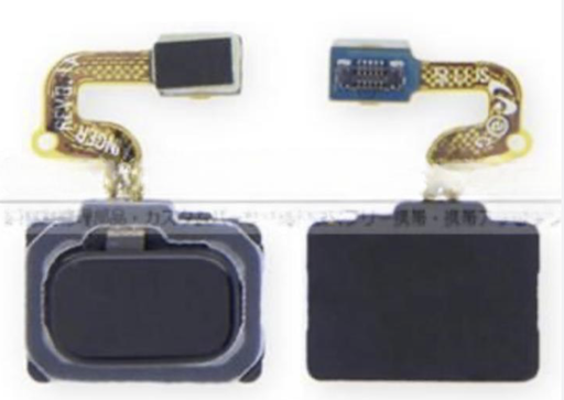 [X8947ｶﾒﾗﾚﾝｽﾞ] （取り寄せ品）Galaxy  Note8指紋センサーフレックスケーブル