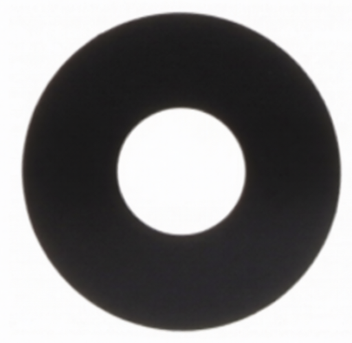 [G2936] （取り寄せ品 ）iPad Pro 11 インチ(M4)2024 カメラレンズ ガラスのみ